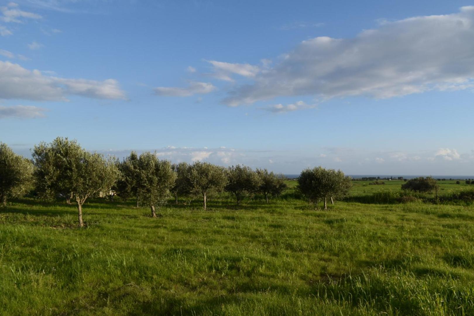 Mersinera Paradise Garden 2 Larnaca Exterior photo